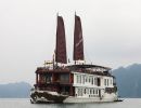Halong Violet Cruise