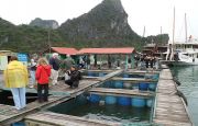 Floating village tour