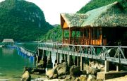 Bungalow in Cat Ba