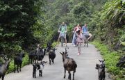 Biking in Cat Ba island