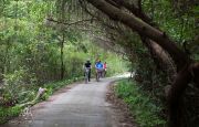 Biking through jungle