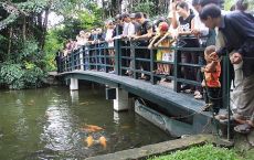 Hanoi City tour: Uncle Ho' fish Pond