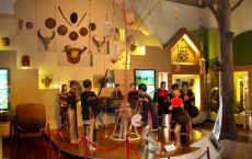 Hanoi City tour: Museum of Ethnology