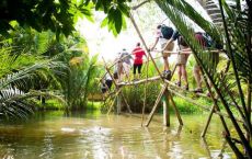 Mekong delta tour:"Monkey bridge"
