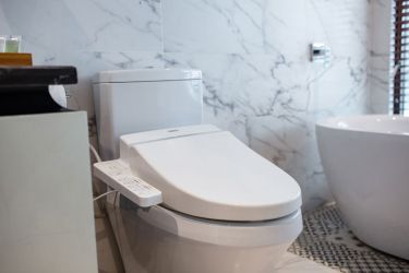 Stellar of the Seas Cruise