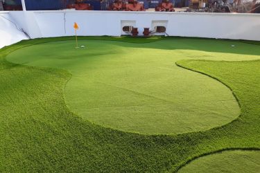 Stellar of the Seas Cruise