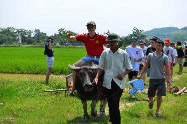 Swan Cruise Bai Tu Long