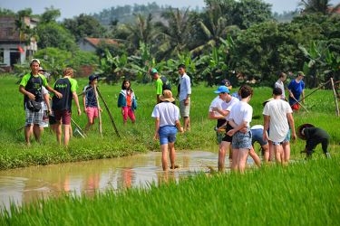 Swan Cruise Bai Tu Long