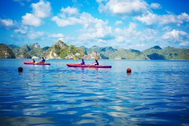 Swan Cruise Bai Tu Long