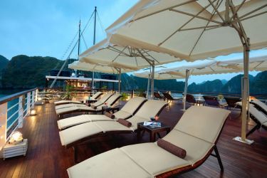 Orchid Cruise Classic