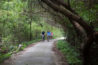 Orchid Cruise Classic