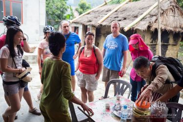 Orchid Cruise Classic