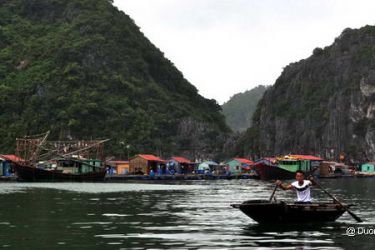 Mila cruise (Luxury Pelican Cruise)