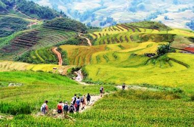 Sapa trekking one day tour