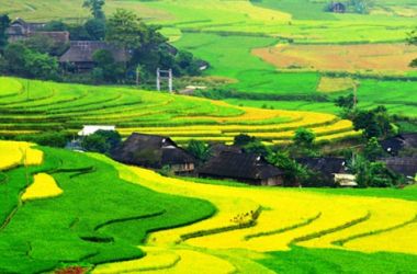 Easy trekking-1 night hotel: Muong Hoa Valley-Local villages-Terrace Rice fields of Sin Chai village
