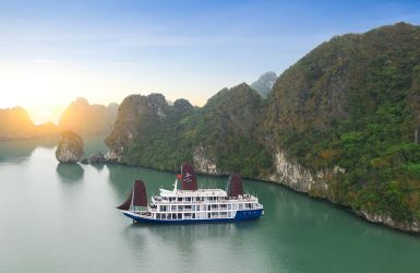 O’Gallery Lotus Cruises