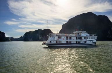 Rosa Boutique Cruise