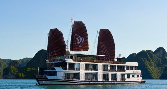 Mila cruise (Luxury Pelican Cruise)