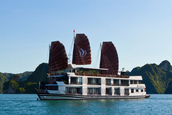 Mila cruise (Luxury Pelican Cruise)