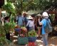 Mekong delta tour: Local garden